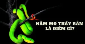 giai-ma-giac-mo-thay-ran-duoi-min_11zon