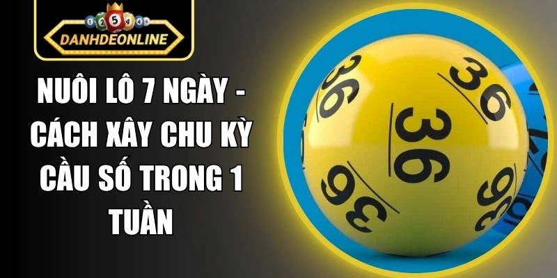 Nuôi Lô 7 Ngày – Cách Xây Chu Kỳ Cầu Số Trong 1 Tuần